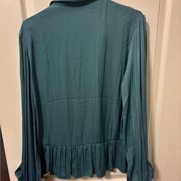 Naked Zebra Deep Teal Blouse - Picture 5 of 6